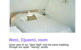 7 Queen Room